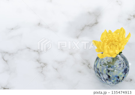 寒色のガラスの一輪挿しに挿した黄色いキクの花(右配置) 135474913