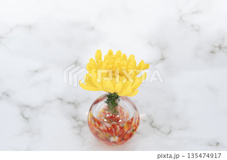 暖色のガラスの一輪挿しに挿した黄色いキクの花(中配置) 135474917