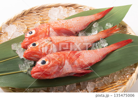 ［岩手県産］吉次　小さめ　（加熱用） 135475006