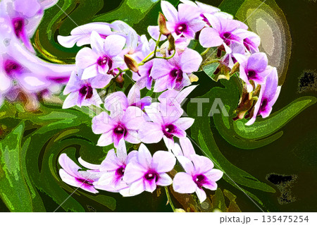 ランの花咲く癒しの窓辺 ランの花咲く癒しの窓辺 135475254