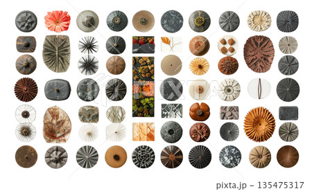 自然素材のボタニカルコレクション ― 石・葉・花のミニマルパターン 自然素材のボタニカルコレクション ― 石・葉・花のミニマルパターン 135475317