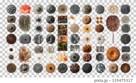 自然素材のボタニカルコレクション ― 石・葉・花のミニマルパターン 自然素材のボタニカルコレクション ― 石・葉・花のミニマルパターン 135475317