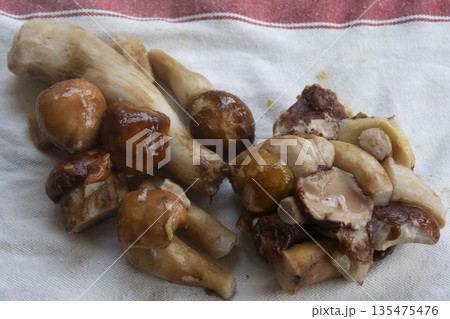 frozen wild porcini mushroom block for smart zero waste cooking 135475476