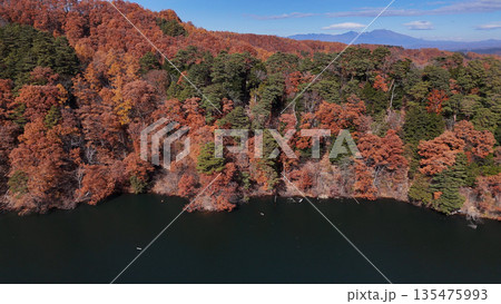 紅葉の松原湖(空撮) - 長野県南佐久郡小海町,日本 紅葉の松原湖(空撮) - 長野県南佐久郡小海町,日本 135475993
