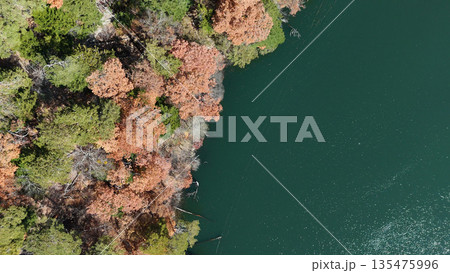 紅葉の松原湖(空撮) - 長野県南佐久郡小海町,日本 紅葉の松原湖(空撮) - 長野県南佐久郡小海町,日本 135475996