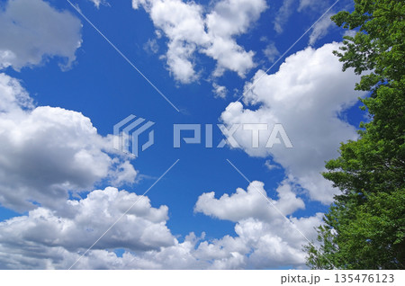 夏の青空に浮かぶ白い雲 夏の青空に浮かぶ白い雲 135476123