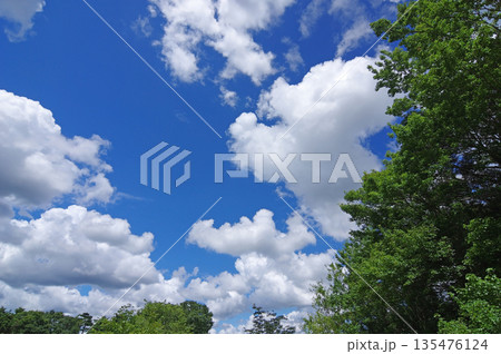 夏の青空に浮かぶ白い雲 夏の青空に浮かぶ白い雲 135476124