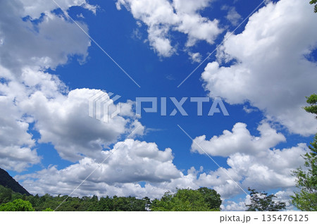 夏の青空に浮かぶ白い雲 夏の青空に浮かぶ白い雲 135476125