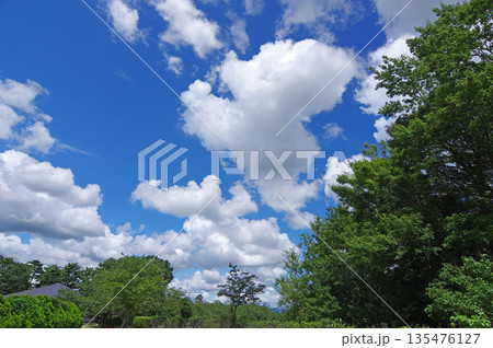 夏の青空に浮かぶ白い雲 夏の青空に浮かぶ白い雲 135476127