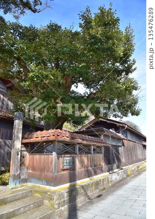 加賀市 国登録重要有形文化財 北前船主屋敷 蔵六園 加賀市 国登録重要有形文化財 北前船主屋敷 蔵六園 135476289