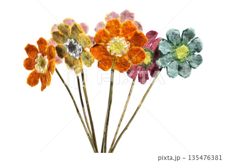 Bouquet of felted wool on a white background Bouquet of felted wool on a white background 135476381