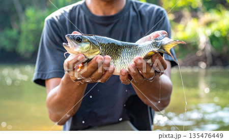Fisherman Holding Freshwater Fish Outdoors 135476449