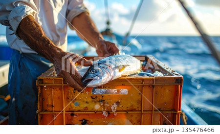 Fresh Lobster Catch on Fishing Boat Fresh Lobster Catch on Fishing Boat 135476466