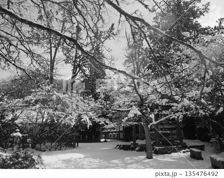 京都槙尾 西明寺冬景色 京都槙尾 西明寺冬景色 135476492