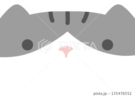 グレーのシマと白色の猫の大きな顔のイラスト 135476552
