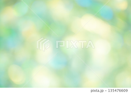 グリーンカラー系キラキラ背景イメージ 135476609
