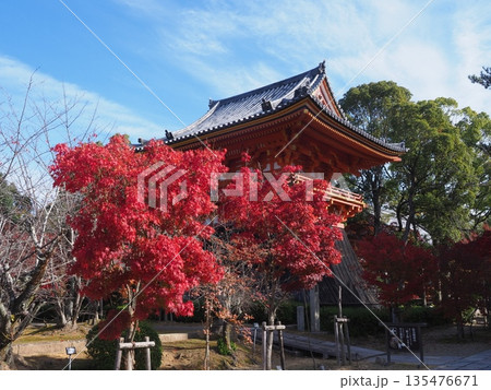 紅葉の仁和寺 135476671