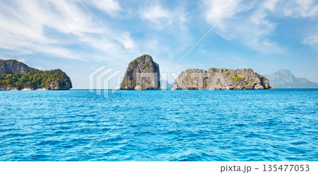The picturesque landscape of the islands in the Philippines. 135477053