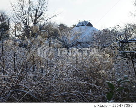 京都嵯峨野 落柿舎冬景色 京都嵯峨野 落柿舎冬景色 135477086
