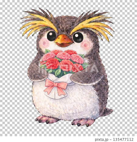 【母親節】色鉛筆插畫，一隻跳岩企鵝手捧康乃馨 135477112