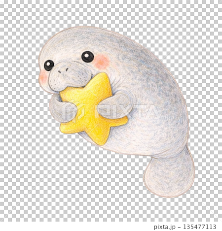 用色鉛筆繪製的海牛手持星星的插圖 135477113