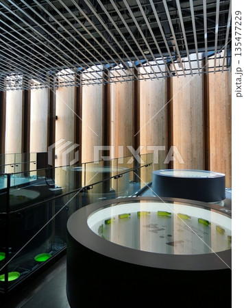 2025 大阪・関西万博 日本館展示 2025 大阪・関西万博 日本館展示 135477229