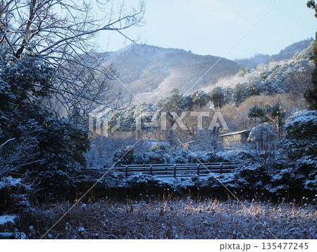 京都嵯峨野　雪の長神の杜 135477245