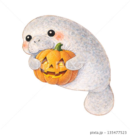 【ハロウィン】色鉛筆風のジャック・オー・ランタンを抱くマナティのイラスト 135477523