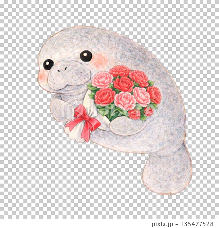 【母親節】色鉛筆插畫，一隻海牛叼著一朵康乃馨 135477528