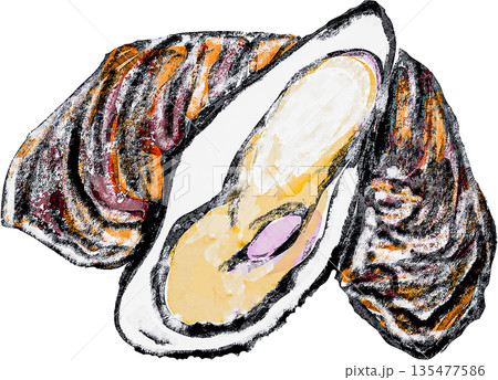 生ガキのイラスト 135477586