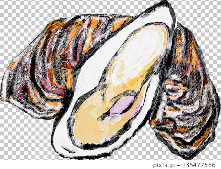 生牡蠣的插圖 135477586