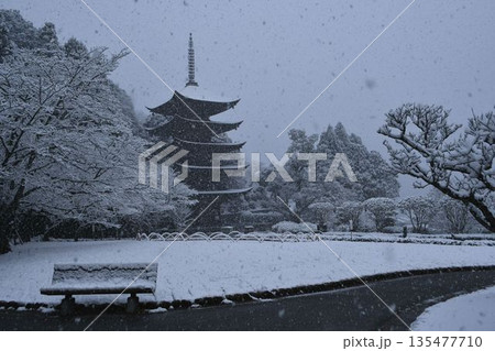 瑠璃瑠璃光寺五重塔雪景色光寺五重塔雪景色 135477710