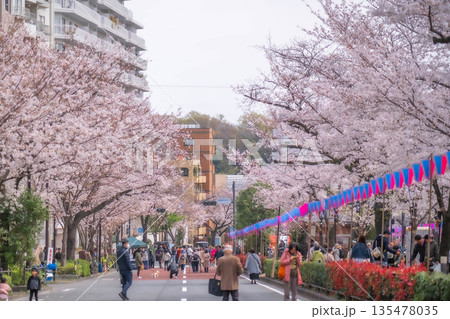 文京さくらまつり【東京都文京区小石川】 135478035