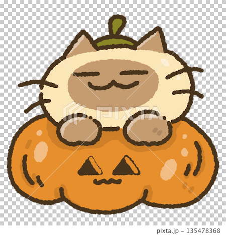 Cat Sitting on Pumpkin Halloween Illustration Cat Sitting on Pumpkin Halloween Illustration 135478368