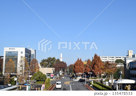 茨城県 秋のつくば駅周辺の街並み 135478533
