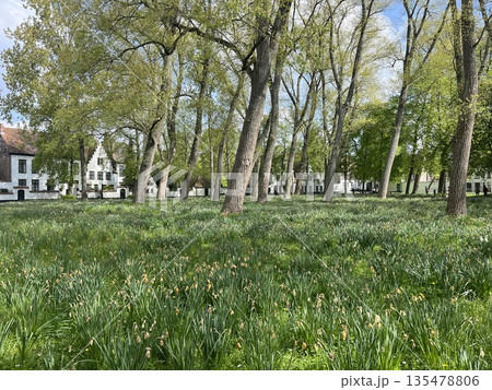 ベルギー・ブルージュにあるベギン会修道院 135478806