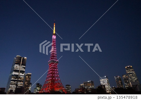 ピンク色にライトアップされた東京タワーと高層ビル・プリンス芝公園 1月港区2406 ピンク色にライトアップされた東京タワーと高層ビル・プリンス芝公園 1月港区2406 135478918
