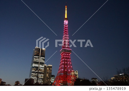 ピンク色にライトアップされた東京タワーと高層ビル・プリンス芝公園　1月港区2407 135478919