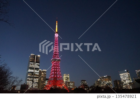 ピンク色にライトアップされた東京タワーと高層ビル・プリンス芝公園　1月港区2409 135478921