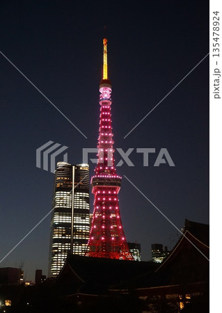 ピンク色にライトアップされた東京タワーと高層ビル・プリンス芝公園　1月港区2412 135478924