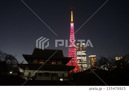 ピンク色にライトアップされた東京タワーと増上寺 1月港区2413 ピンク色にライトアップされた東京タワーと増上寺 1月港区2413 135478925