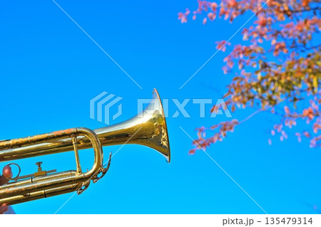 秋の空を背景にしたトランペット演奏風景 135479314