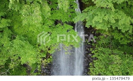 新緑に包まれた玉簾の滝 新緑に包まれた玉簾の滝 135479479