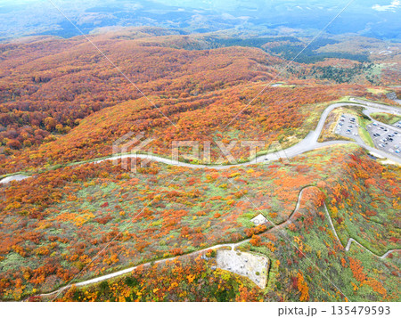 紅葉の鳥海山(鉾立) 紅葉の鳥海山(鉾立) 135479593