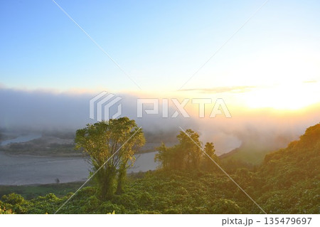 山本山高原から望む信濃川と朝靄の風景(新潟県小千谷市) 山本山高原から望む信濃川と朝靄の風景(新潟県小千谷市) 135479697