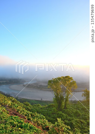 山本山高原から望む信濃川と朝靄の風景(新潟県小千谷市) 山本山高原から望む信濃川と朝靄の風景(新潟県小千谷市) 135479699