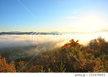 朝の山本山高原に広がる紅葉と雲海の風景（新潟県小千谷市） 135479931