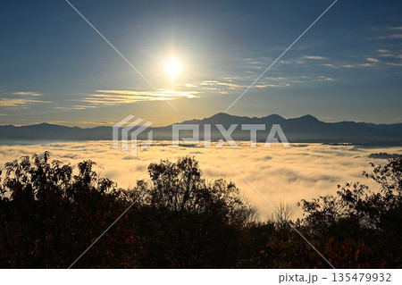 朝の山本山高原に広がる紅葉と雲海の風景（新潟県小千谷市） 135479932