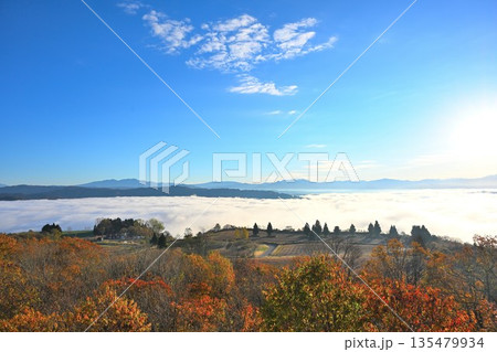 朝の山本山高原に広がる紅葉と雲海の風景(新潟県小千谷市) 朝の山本山高原に広がる紅葉と雲海の風景(新潟県小千谷市) 135479934