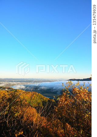 朝の山本山高原に広がる紅葉と雲海の風景（新潟県小千谷市） 135479939
